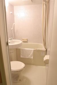 a bathroom with a toilet and a sink and a tub at Takasaki Ekimae Plaza Hotel in Takasaki