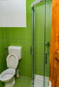 Ein Badezimmer in der Unterkunft Cabana Groapa Seaca