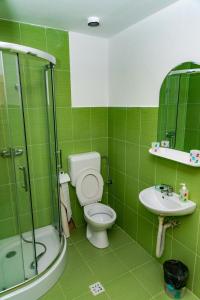 a green bathroom with a toilet and a sink at Cabana Groapa Seaca in Petroşani