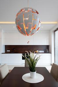 a kitchen with a table with a potted plant at DOMOTEL MOKOTÓW in Warsaw