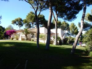 a house in the middle of a yard with trees at Finca En Sueno de Son Jaumell in Cala Ratjada