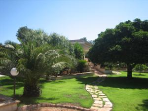 einen Garten mit einer Palme und einem Steinweg in der Unterkunft Villetta Vacanza in Carovigno
