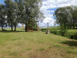 a playground in a field with a tree and a swing at Tammispää Camping in Lohusuu +5 photos