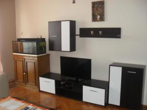 Η κουζίνα ή μικρή κουζίνα στο Apartment Batricevic