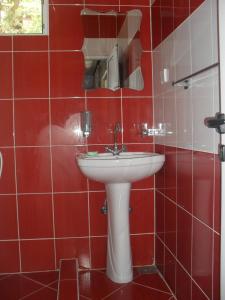 Ένα μπάνιο στο Apartment Batricevic
