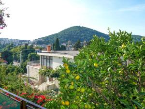 Γενική θέα στο βουνό ή θέα στο βουνό από  αυτός ο ξενώνας