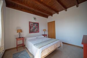 Varadouro的住宿－Casa do Chafariz (Casas do Capelo)，一间卧室配有床和2个床头柜