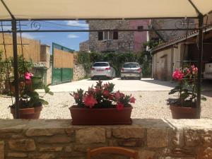 Фотография из галереи Contrada del Nonno Apartments (city center - private parking on-site) в Ровине