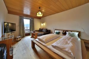 TV a/nebo společenská místnost v ubytování Osserhotel - B&B am Osser