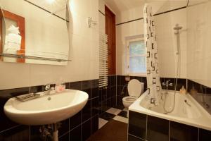 a bathroom with a sink and a shower and a toilet at Apartment with courtyard in Lviv