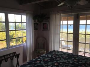 Gallery image of Coconut Beach House in Green Turtle Cay