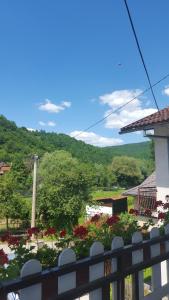 Příroda nedaleko apartmánu