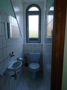 バラトンボグラールにあるNégy Évszak Vendégházのバスルーム(トイレ、洗面台付)、窓が備わります。