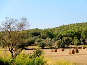 un campo lleno de fardos de heno en un campo en Can Barrull, en Sant Feliu de Boada