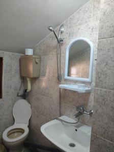 ツァレヴォにあるBakyrdjieva Hоuseのバスルーム(トイレ、洗面台、鏡付)