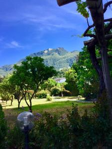 イスキアにあるPalazzo Ciannelliの山を背景に広がる公園