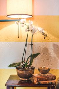 a vase of flowers on a table with a lamp at Borgo degli Ulivi in Porto Ercole