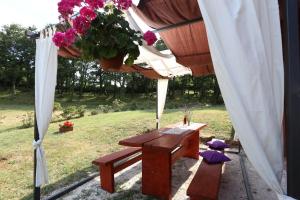 Zahrada ubytování Apartments Matelici