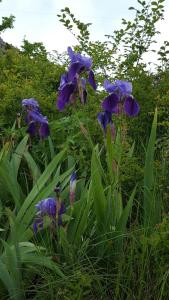 Fotografie z fotogalerie ubytování Hotel de Montaña Lamiana v destinaci Lamiana