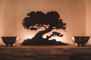 a bonsai tree sitting on top of a table at Borgo degli Ulivi in Porto Ercole