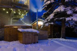 冬天的Chalet Des Sangliers