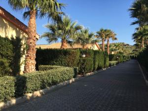 A garden outside Residence Hydria