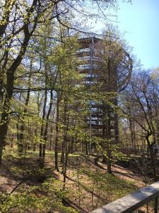 a tall building in the middle of a forest at Ferienwohnung Nähe Altstadt in Sassnitz
