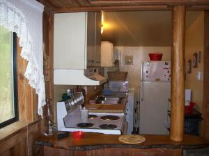 een kleine keuken met een fornuis en een koelkast bij Garden of Eden Cabins in Cosby