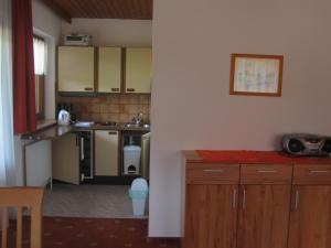 Küche/Küchenzeile in der Unterkunft Apartmenthaus Rupitsch