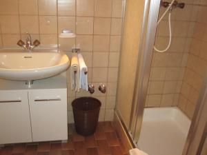 ein kleines Badezimmer mit Waschbecken und Dusche in der Unterkunft Apartmenthaus Rupitsch in Leutasch + 37 Fotos