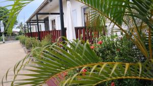 ein Haus mit Pflanzen davor in der Unterkunft Tropico Inn in Paramaribo