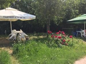 un jardín con mesa, sombrilla y flores en Bungalow Eforie Nord, en Eforie Nord