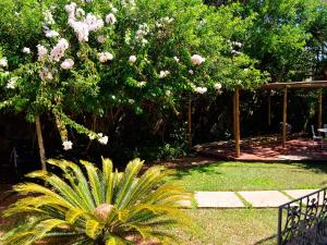 Ein Garten an der Unterkunft Pousada Omnimare