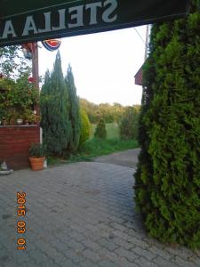 A garden outside Micófogadó
