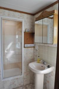a bathroom with a sink and a shower at Hills View Accommadation in Borrisoleigh