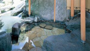 Paesaggio naturale nelle vicinanze del ryokan