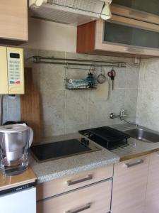 Köök või kööginurk majutusasutuses Zagradge I.N. apartments