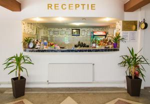 a reception area of a restaurant with two potted plants at Pensiunea Tinelu Brașov sacele in Braşov