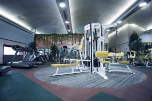 Fitness centrum a/nebo fitness zařízení v ubytování Hotel New Otani Makuhari
