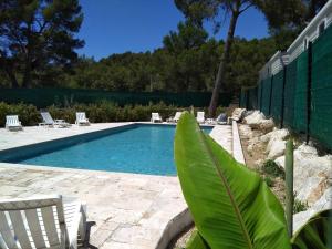 a swimming pool with a chair and a palm leaf at Camping Aux Portes De Cassis in La Bédoule