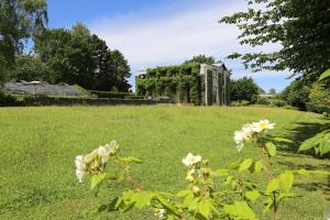 Aed väljaspool majutusasutust Le Jardin Des Sources