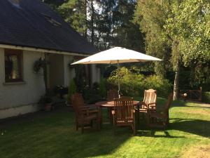 einen Tisch und Stühle mit Sonnenschirm im Hof in der Unterkunft Daedalus Bed & Breakfast in Muir of Ord