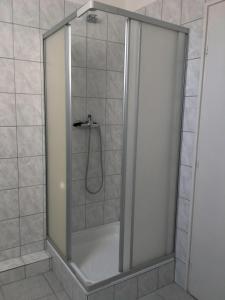 フォニョードにあるApartment Altorjaiのバスルーム(ガラスドア付きのシャワー付)