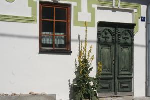 a green door and a plant in front of a building at Chalupa u studny in Lukov