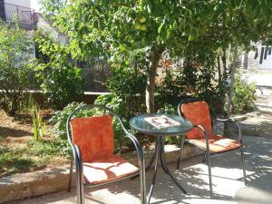 Zahrada ubytování Guest House Konak kod Danke