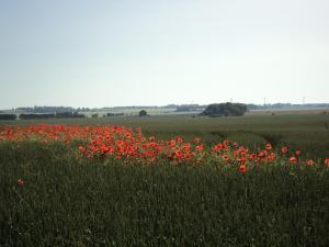 Paesaggio naturale nelle vicinanze dell'ostello