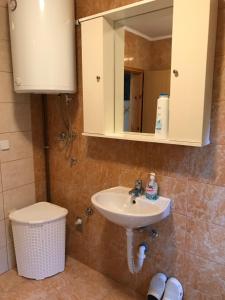 a bathroom with a sink and a mirror and a toilet at Apartment near the Airport in Sarajevo +14 photos