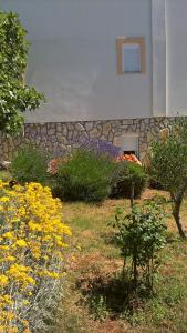 Zahrada ubytování Apartments Krušvina