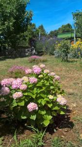 Zahrada ubytování Apartments Krušvina