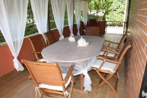 Olevano sul TuscianoにあるB&B Don Domenicoの猫のいるポーチのテーブルと椅子
